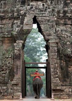 angkor wat, cambodia