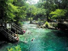 
                    
                        Lafayetye Blue Springs State Park, Florida. Looks like fun
                    
                