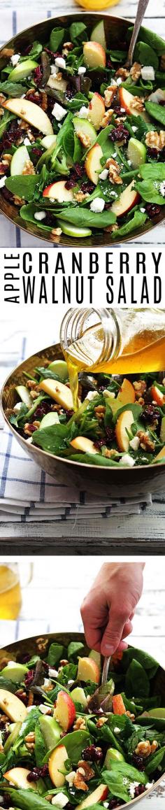 
                        
                            Crisp apples, dried cranberries, feta cheese, and hearty walnuts come together in a fresh Autumn salad.
                        
                    