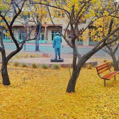 
                    
                        Yellow Carpet at Santa Fe City Hall, Santa Fe, New Mexico
                    
                