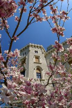 Spring in Hluboka nad Vltavou, Czech Republic