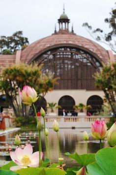 
                        
                            Balboa Park, San Diego, CA, United States
                        
                    