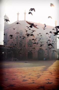 
                    
                        Jama Masjid, Delhi, India. Read about this and 29 other beautiful places near Delhi in this blog post: blog.tourvia.me/...
                    
                