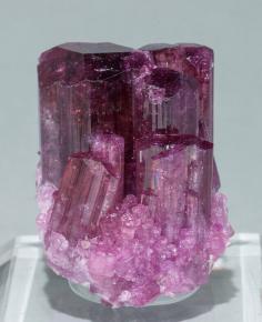 
                    
                        Gem. Rubellite
                    
                