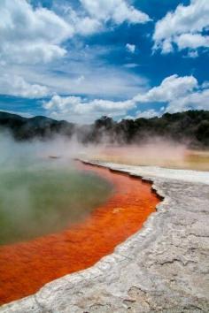 
                    
                        The Champagne Pool at Wai-O-Tapu Thermal Reserve in Roturua, New Zealand
                    
                