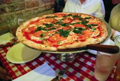 
                    
                        The 10 Best Pizzas in NYC
                    
                