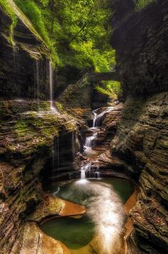 
                    
                        Dark and damp, with cavernous pathways, alien-like stone formations, rare plants, and eerie isolation, Watkins Glen is the type of setting you would expect to find in a fantasy film rather than Upstate New York. Carved into the escarpment at the southern end of Seneca Lake (the deepest of the Finger Lakes), this hanging valley is the oldest and most renowned State Park in the Finger Lakes region.
                    
                