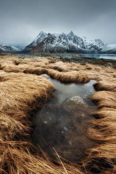 
                    
                        Sildpollnes, Lofoten by Arild Heitmann, via 500px
                    
                