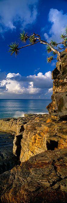 Noosa National Park in Queensland, Australia