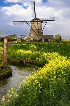 
                        
                            Kinderdijke, Netherlands
                        
                    