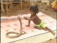 
                    
                        Video Anak Kecil Bermain Dengan Ular Cobra | Berita Unik - Kata Kata Cinta Romantis
                    
                