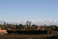 
                    
                        beldi country club boutique hotel marrakech
                    
                