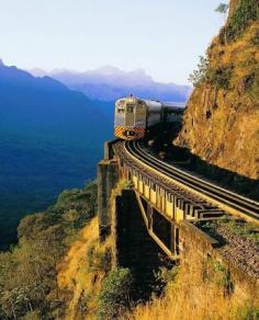 
                    
                        "TREN PARANÁ - BRASIL"  [Sur, Capital Curitiba] - Tren de la Costa Gama Paranaense (Trem da Serra do Mar Paranaense). Viajar en tren por los bosques atlánticos protegidos es una experiencia muy pintoresca, bonita y atractiva que puedes disfrutar en tu viaje a Curitiba, Brasil. Es un paseo en tren por medio de las Serras do Mar en el que apreciarás hermosos paisajes a lo largo de todo el recorrido.Salida: Curitiba; Llegada: Morrisons. Hay aproximadamente 3 h de viaje.
                    
                