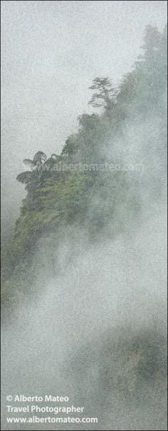 Vegetation in the fog, Mountains between Vietnam and China, Bac Ha, Vietnam. - © Alberto Mateo, Travel Photographer