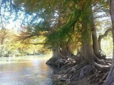 Guadalupe State Park- Texas