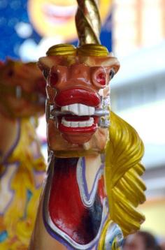 
                    
                        Luna Park Gallopers John and Arthur Anderson Jumper photo by Victor Hugo.  Luna Park, Sydney, N.S.W. Australia
                    
                