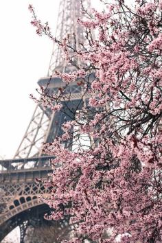 Paris Photography  Paris Je t'aime  Paris in by rebeccaplotnick