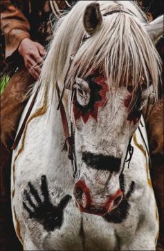 
                    
                        Paard met tribal versiering
                    
                