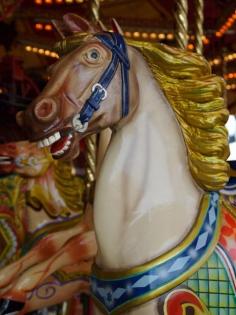 
                    
                        Merry Go Round (Carousel) - Luna Park Gallopers John and Arthur Anderson Jumper photo by Victor Hugo. Luna Park, Sydney, N.S.W. Australia
                    
                