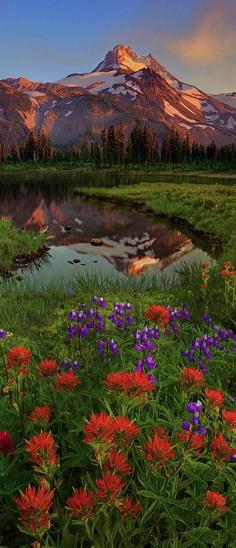 
                    
                        Mt. Jefferson in the Jefferson Park Wilderness of central Oregon, United States. • photo: Kevin McNeal.
                    
                