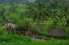 The Temples of Bali - From Shores to Skylines