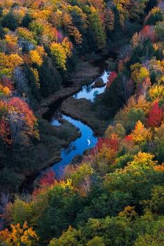 
                    
                        Moonrise over the Carp River
                    
                