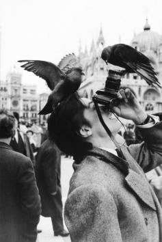 
                    
                        Alain Delon in 1962 op het San Marco Plein In Venetie.Grappig!
                    
                