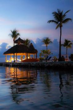 Amazing Snaps: Key Largo, Florida | See more