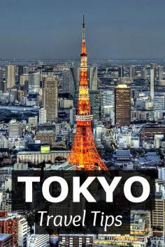 
                        
                            Things to Do in Tokyo
                        
                    