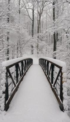 Bridge to tranquility