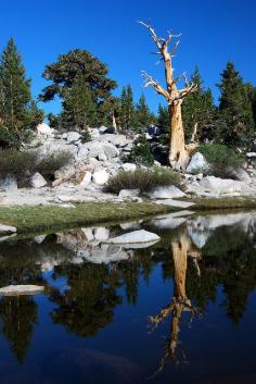 
                        
                            Sierra Nevada Mountains,CA
                        
                    