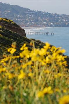 
                        
                            Scripps Pier, La Jolla,CA
                        
                    