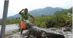 
                    
                        Video Memberi Makan Buaya Layaknya Seekor Anjing | Berita Unik - Kata Kata Cinta Romantis
                    
                