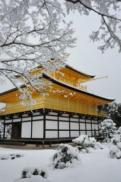 
                        
                            Kinkaku-ji Temple, Kyoto, Japan
                        
                    