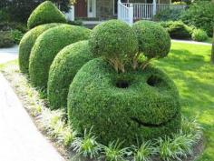 
                        
                            Caterpillar topiary, fun!
                        
                    