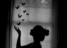 
                    
                        Butterflies...
                    
                