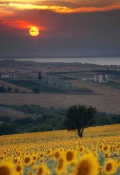 
                    
                        Tuscany, Italy. Yet another place I would love to go. Maybe we need to get stationed in Europe next then just travel as much as possible...
                    
                