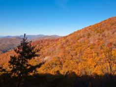 
                        
                            10Best: The brightest fall foliage around the USA
                        
                    