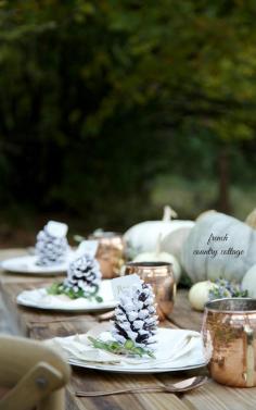 
                        
                            5 Minute Placesetting with Pinecones
                        
                    