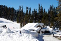 
                        
                            Badger Pass Ski Rea, Yosemite, where I learned to ski.
                        
                    