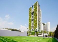 
                    
                        World’s Largest Vertical Garden in Full Force Condo Skyscraper - EcoBuilding Pulse
                    
                