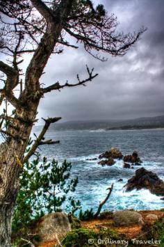 
                        
                            Point Lobos - Carmel, CA
                        
                    