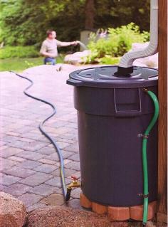 rain barrel