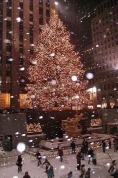 
                    
                        Rockfeller Center NY City
                    
                