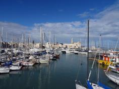 
                    
                        Trani (Puglia) Italy
                    
                