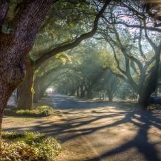 
                    
                        Ten Best: Prettiest Southern streets for a stroll.  Broad Street in Downtown Rome, GA makes yet another list!
                    
                