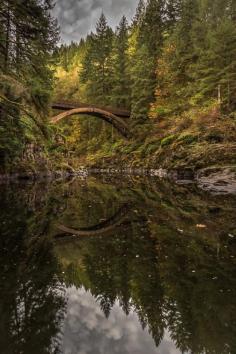 
                    
                        Lewis River, Washington Mitch Schreiber
                    
                