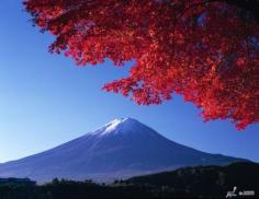 Mount Fuji