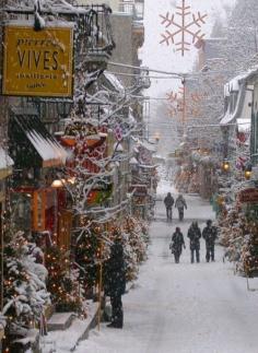 Snowy Stroll in Paris