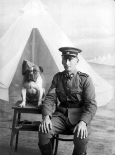 A Salute To Australia's Animal Military Staff Sergeant Major Morgan and a dog wearing a cap, 1915